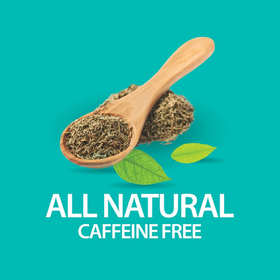 21st Century, Травяной чай для похудения, полностью натуральный, без кофеина, 24 чайных пакетика, 48 г (1,7 унции)