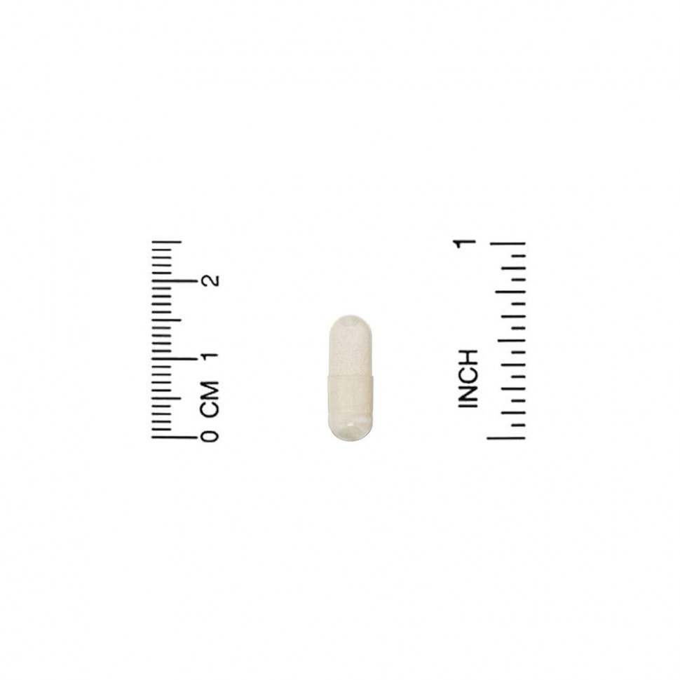 Enzymedica, яблочный уксус с уксусной маткой, 120 капсул