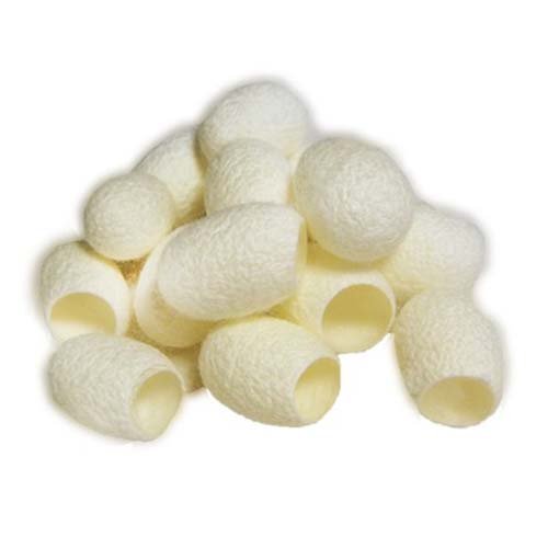 Белые крупные шелковые коконы 50 или 100 шт