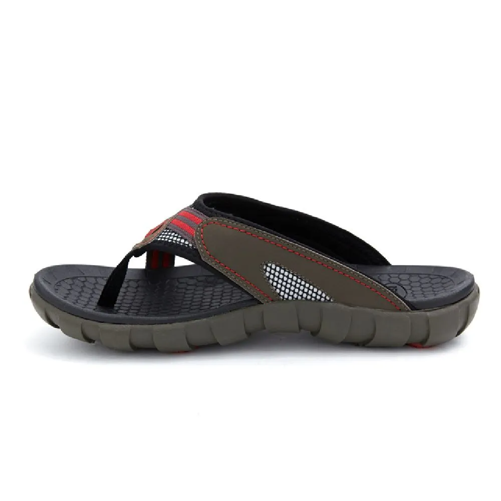 SCHOLL Eagle II Brown