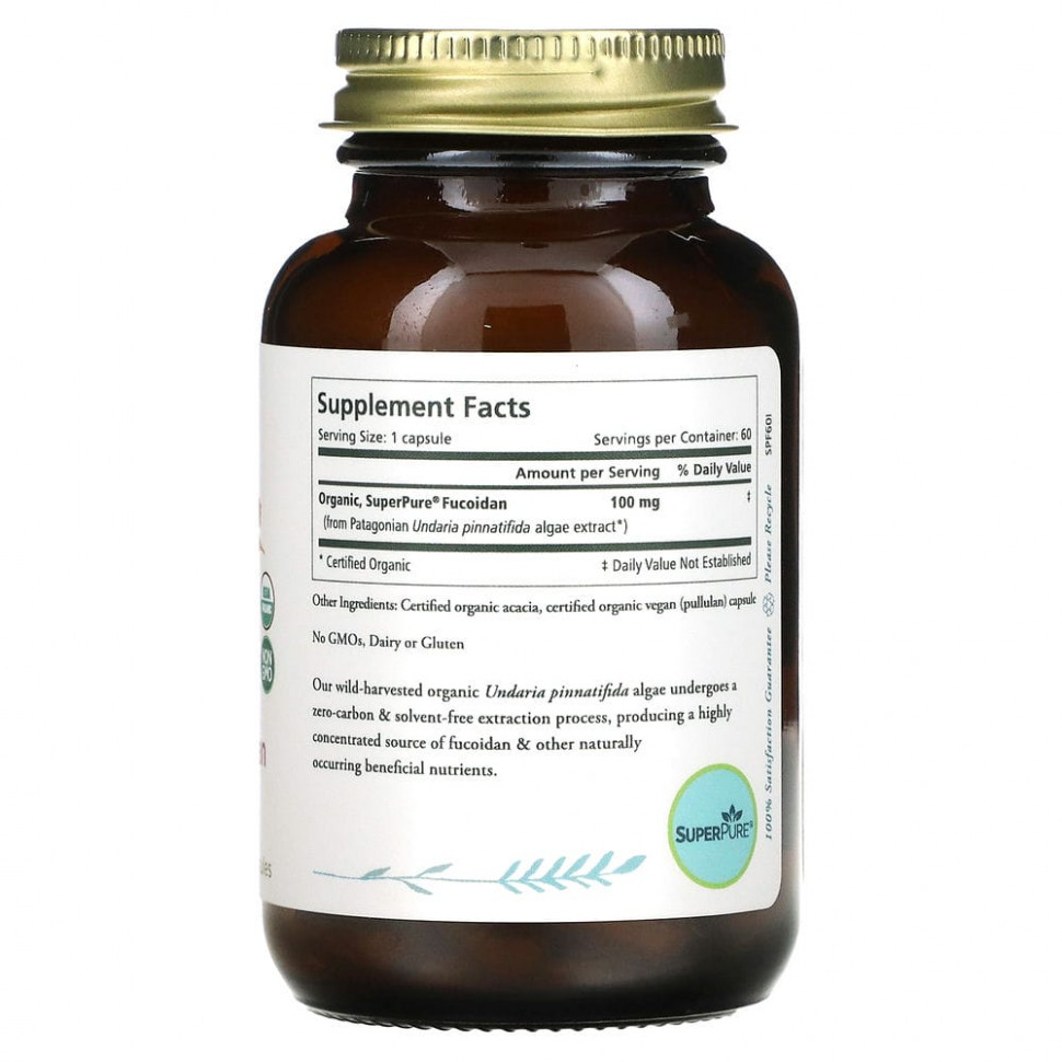 Pure Synergy, SuperPure Fucoidan, 60 капсул