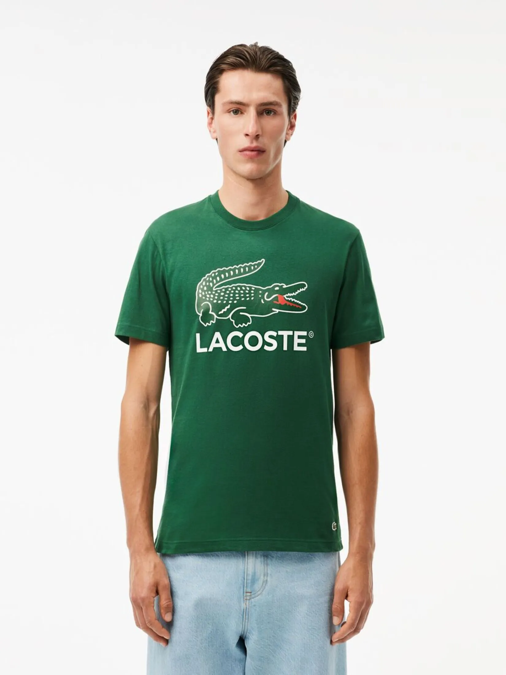 LACOSTE Signature Print Cotton T-shirt Green