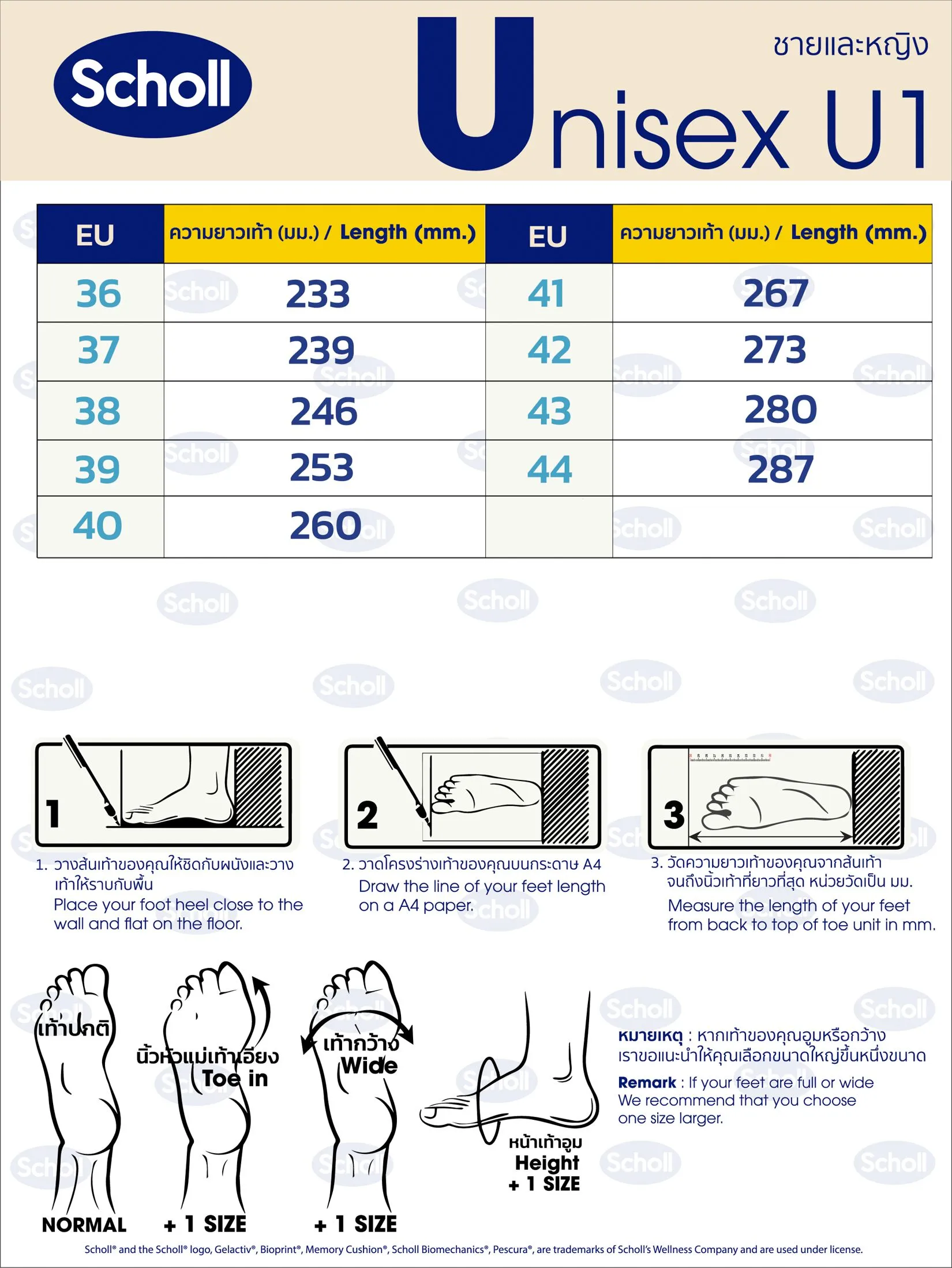 SCHOLL Dallas Unisex's Shoe Black