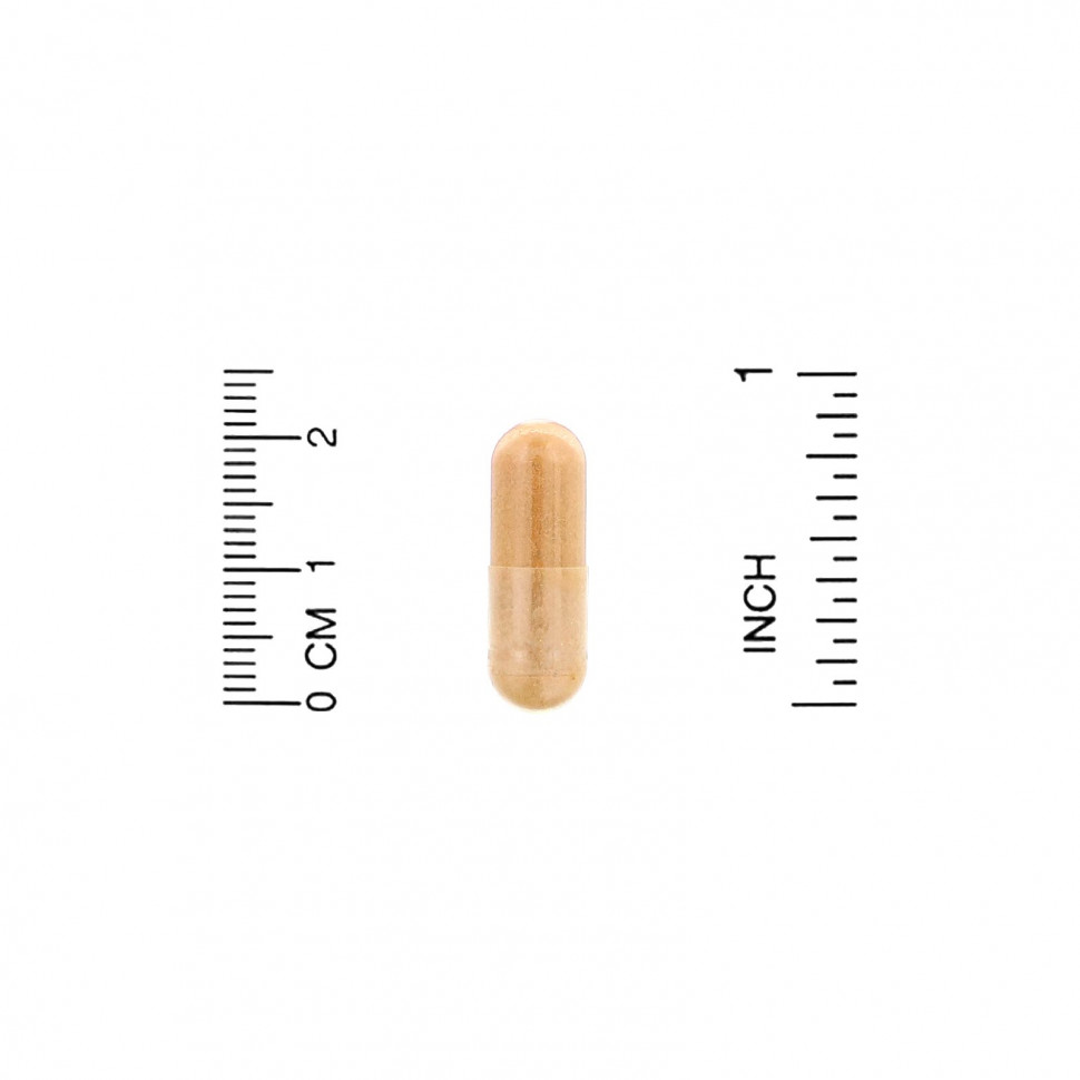 Lake Avenue Nutrition, экстракт расторопши, 175 мг, 240 растительных капсул