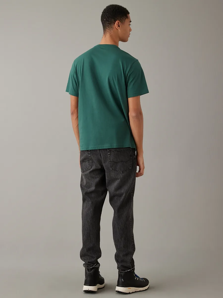 AMERICAN EAGLE MEN G SS CORE BRAND SET IN TEE- PC DYE + SERIOUSLY SOFT WASH 299 GATSBY GREEN