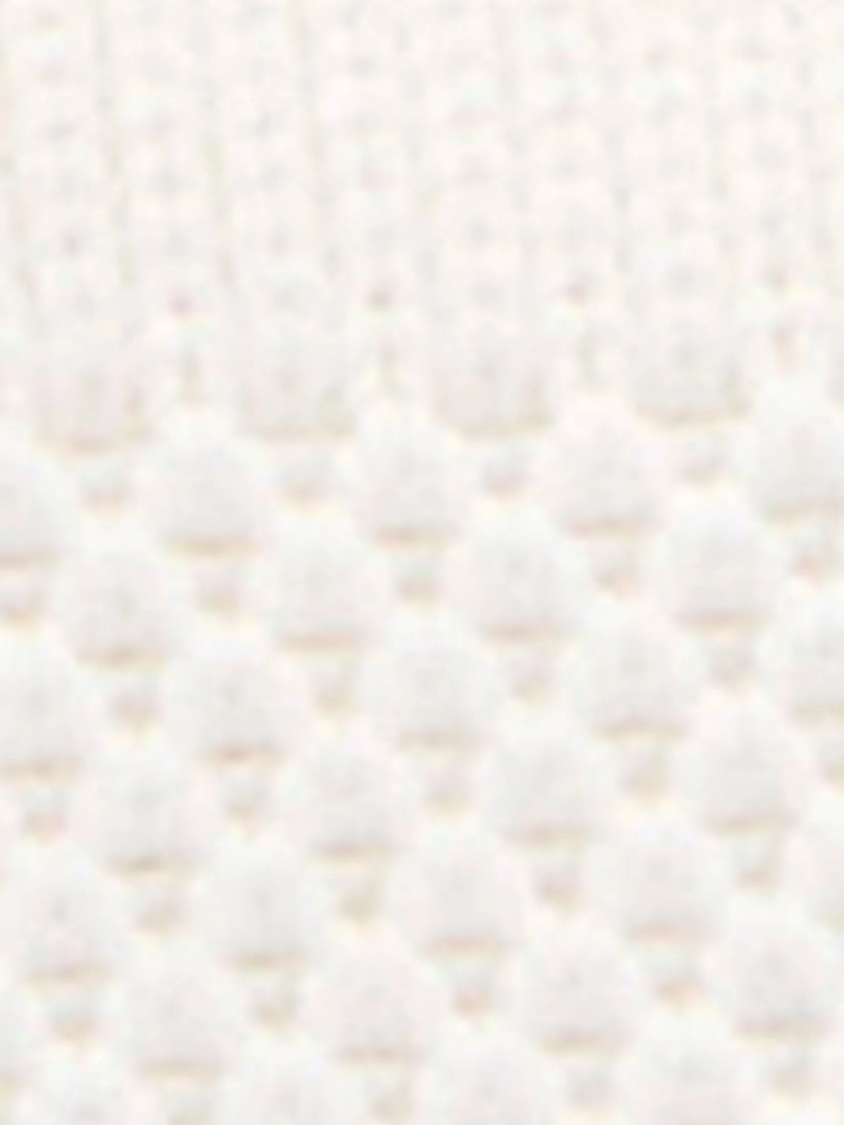 KEDS Women Blisswalk Lace Eng Knit Egret/ Gold