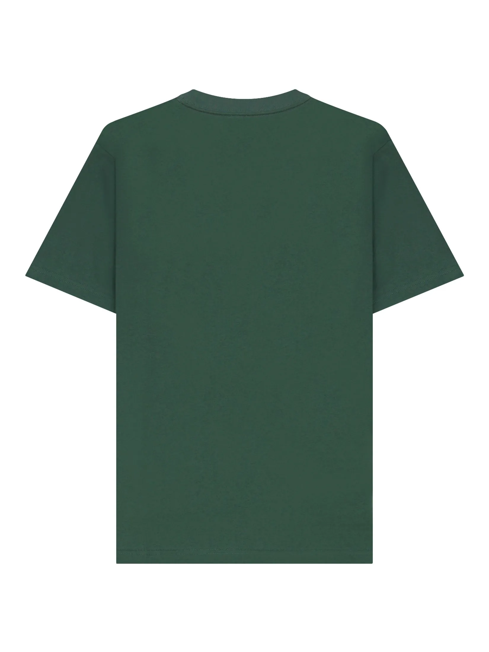 GIORDANO Men's Jersey Slim Printed Tee (WWS) Sycamore green