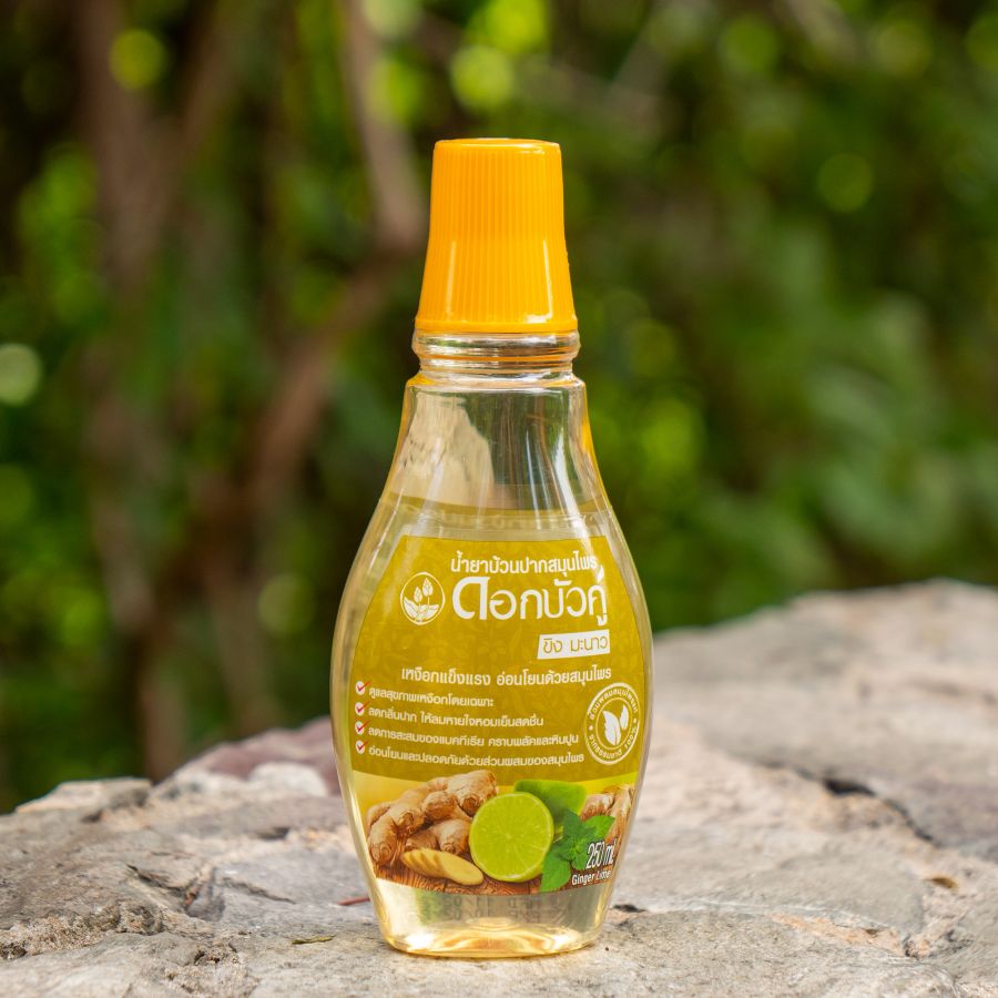 Ополаскиватель для рта Twin Lotus Имбирь и лайм 250 мл