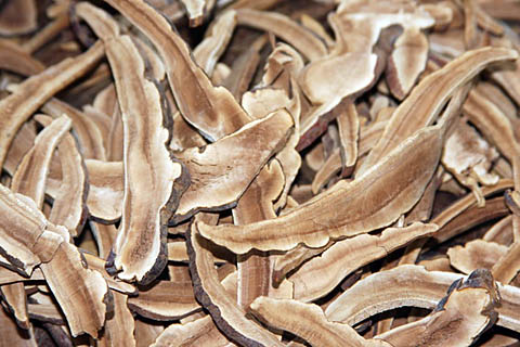 Сушеный резанный гриб линчжи 70 гр