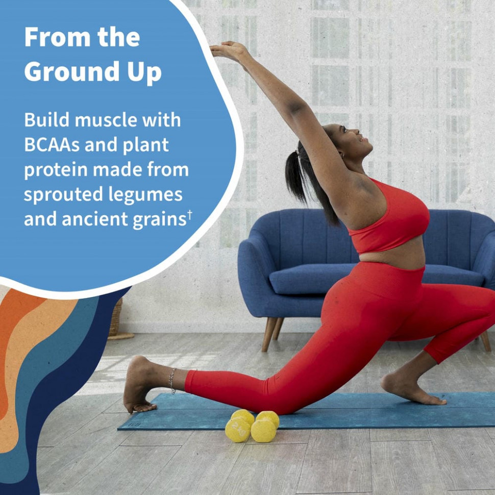 Garden of Life, Органический белок RAW, органическая растительная формула, ваниль, 620 г (21,86 унции)