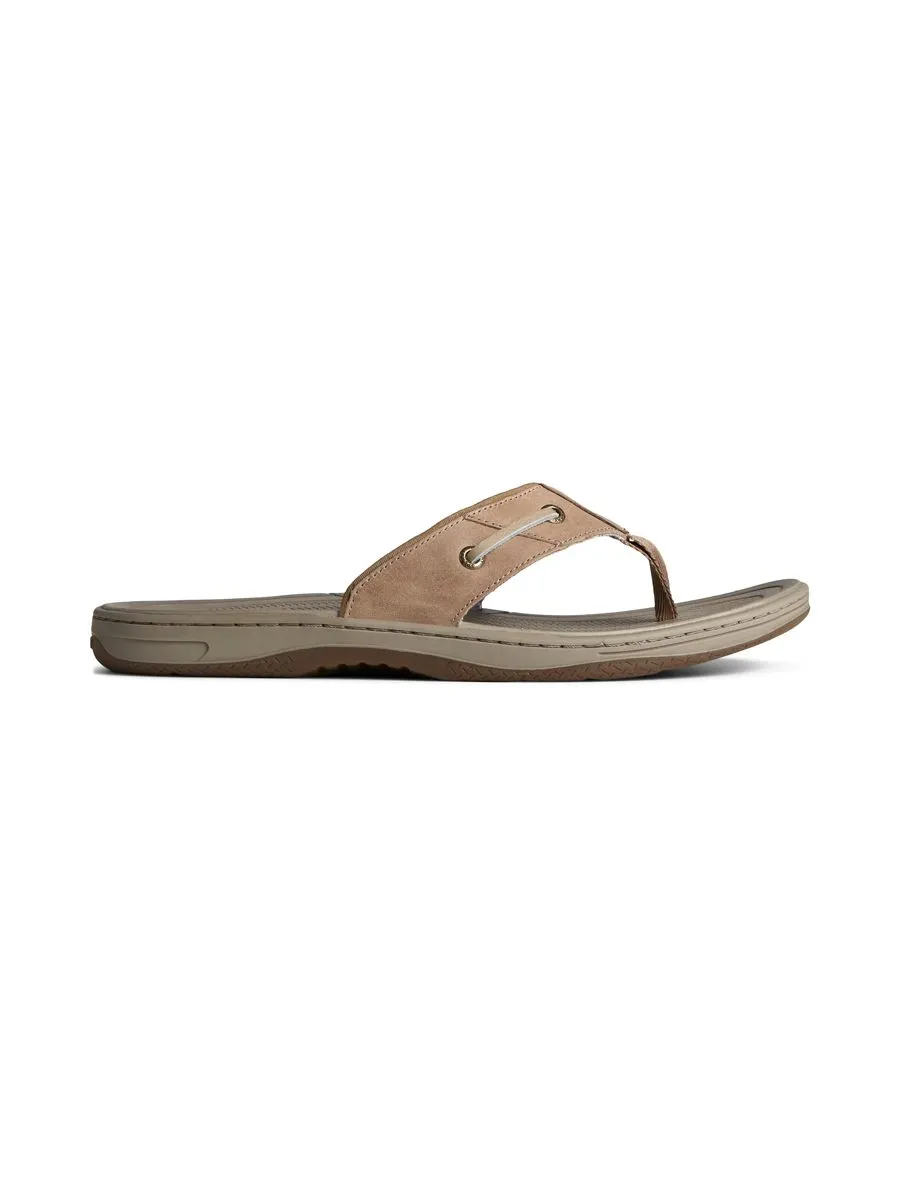 SPERRY MEN BAITFISH THONG LEATHER GREY