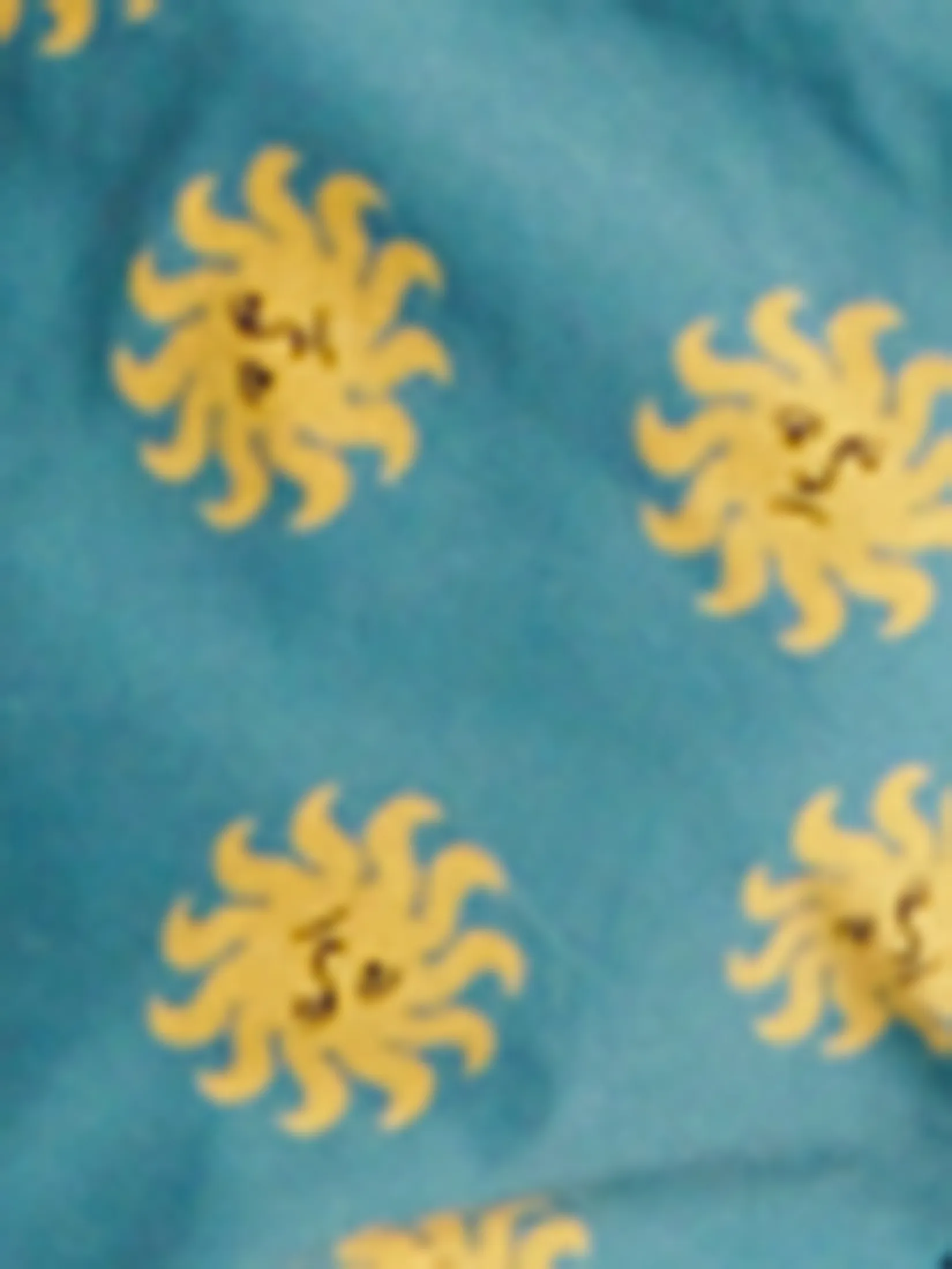 CRITICAL SLIDE Unisex Shorts Morning 16 Trunk