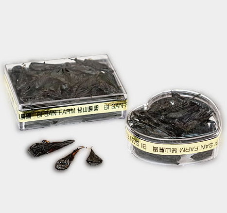 Сухие желчные пузыри змей (кобры) со змеиной фермы 25 шт