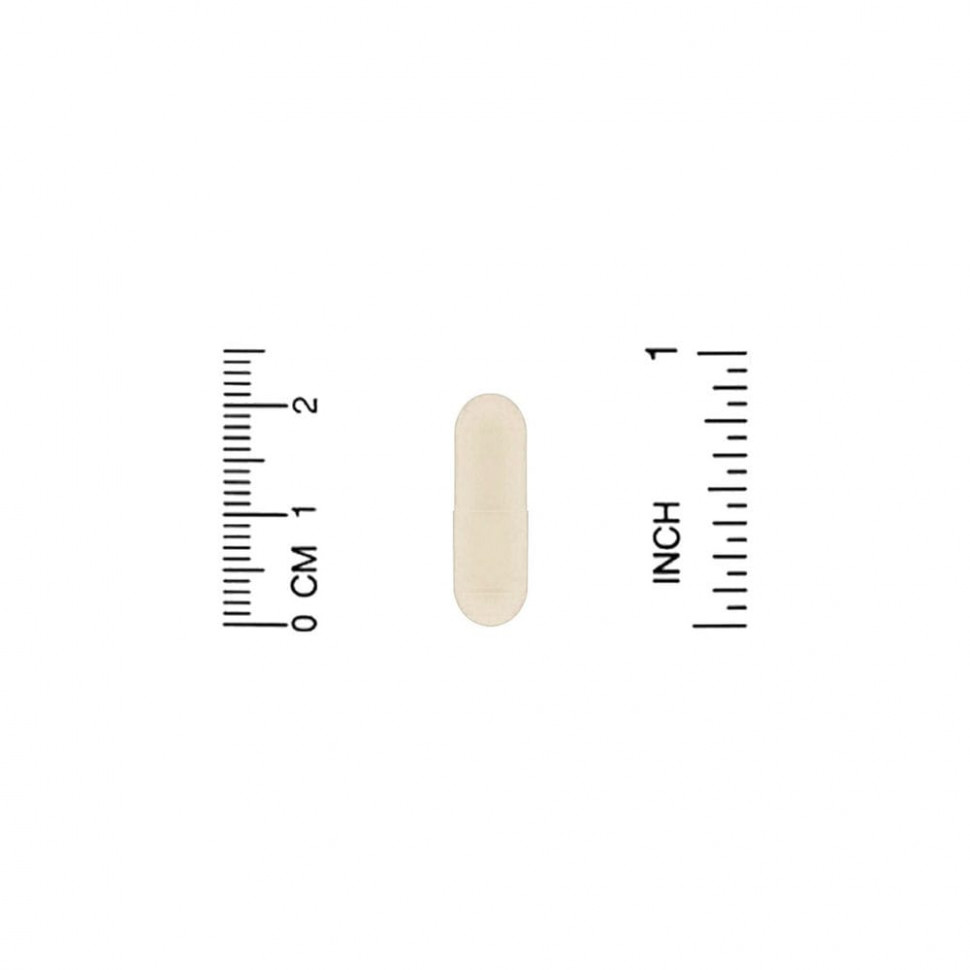 Pure Synergy, SuperPure Fucoidan, 60 капсул