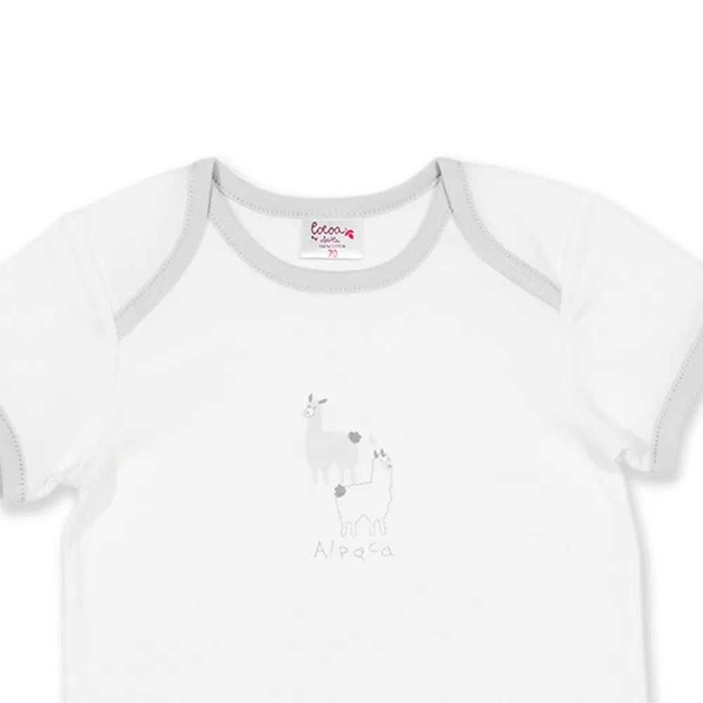 AUKA Gray,Short Bodysuit,Auka Cocoa Alpaca.