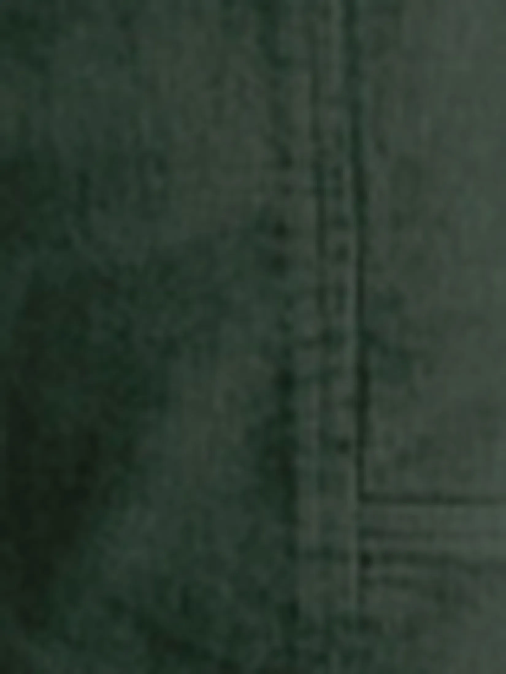 CRITICAL SLIDE Unisex Shorts All Day Cord