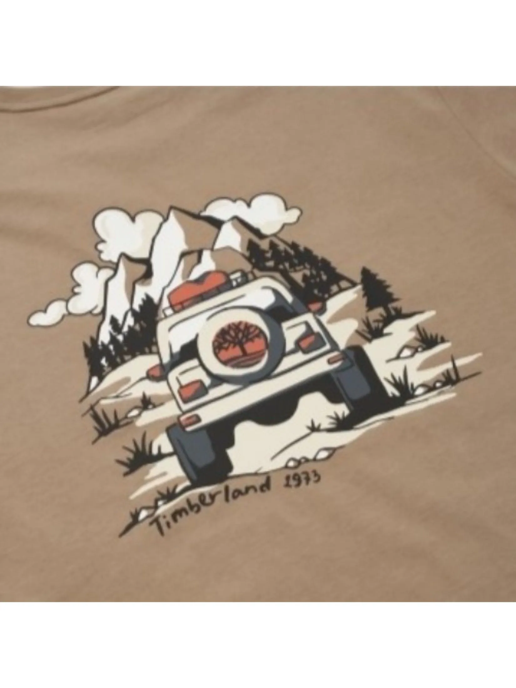 TIMBERLAND Men's Back Graphic Short Sleeve T-Shirt Neutral Brown