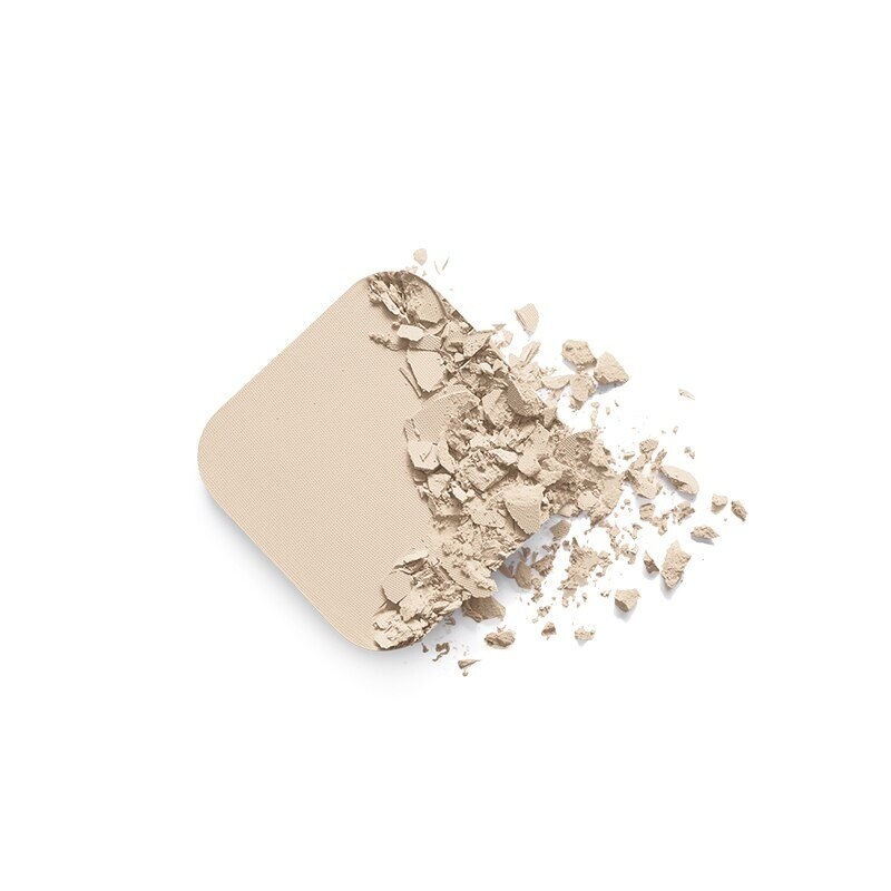 Maybelline Fit Me Poreless Powder 110