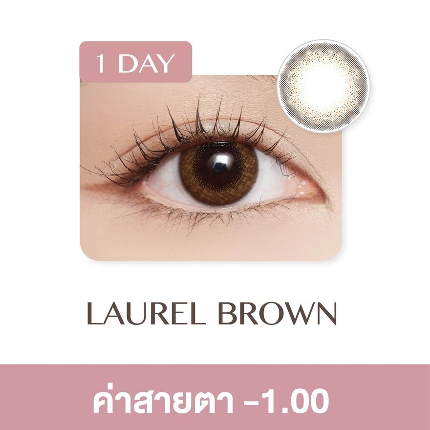 Pegavision Daily Kaori Laurel Brown -1.00 (10 pcs)