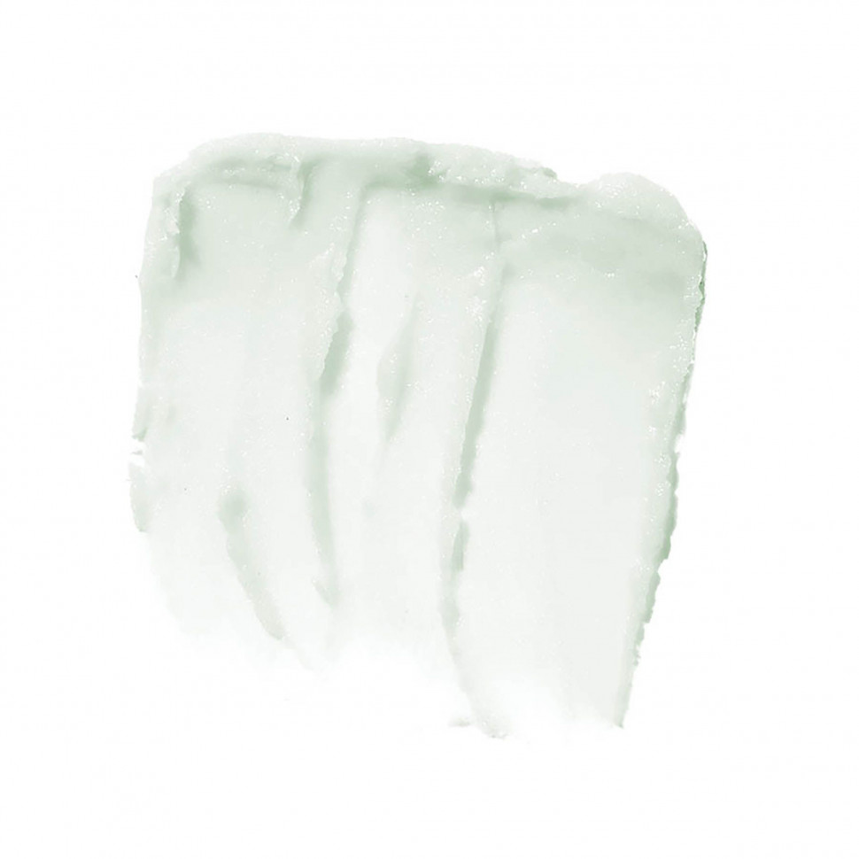 E.L.F., Отшелушивающий скраб для губ, 'Mint Maniac' ('мятный маньяк'), 0,11 унции (3,2 г)