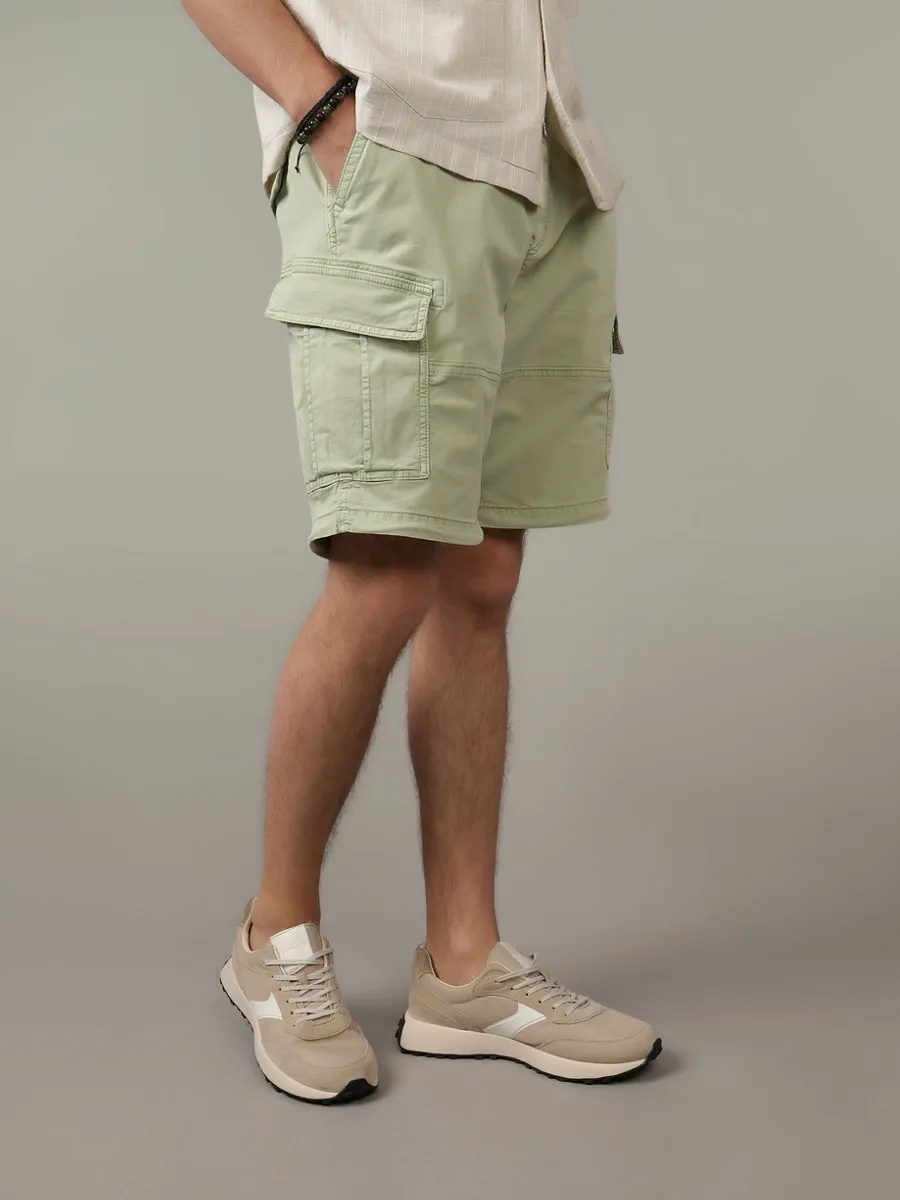 AMERICAN EAGLE MEN 7690 XAVIER PARACHUTE SHORT 343 DRIED SAGE