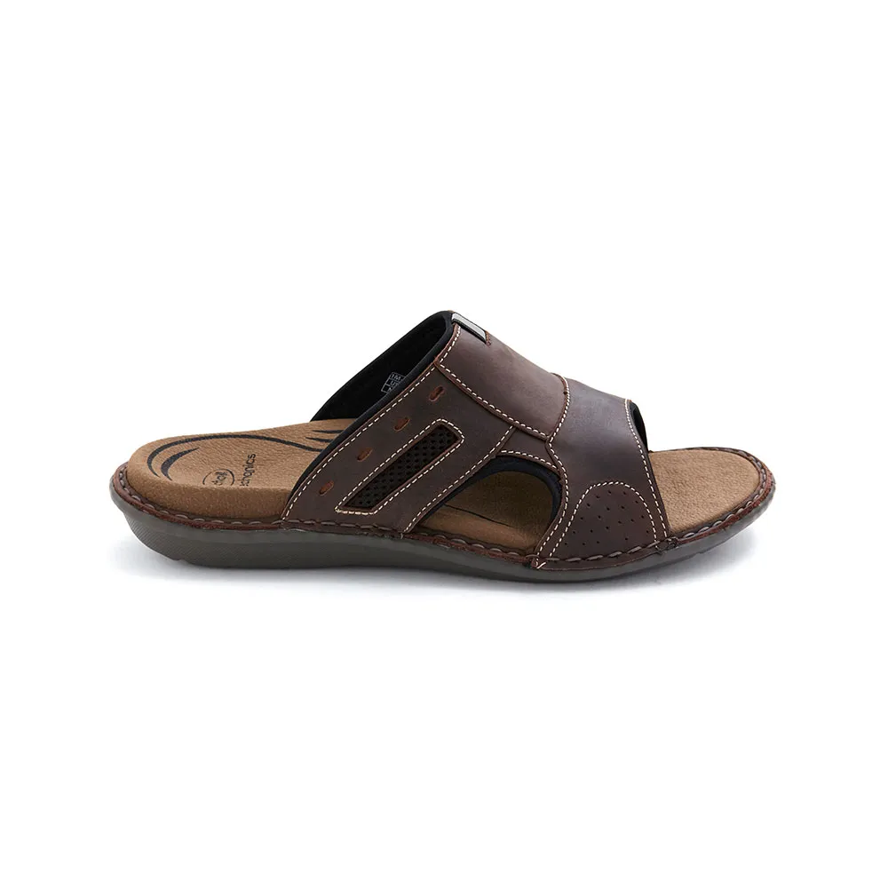 SCHOLL Biomechanics Toby Dk Brown