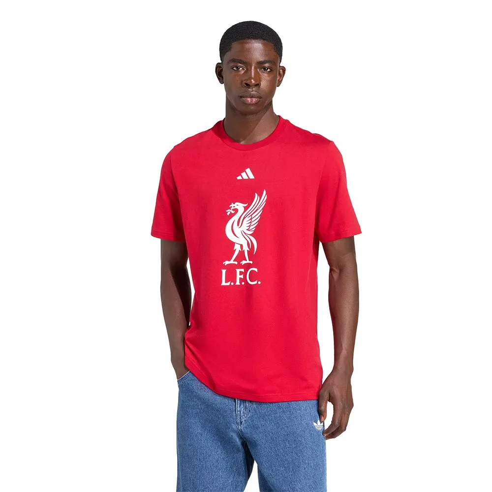 ADIDAS Liverpool FC DNA Graphic Men Football T-Shirt Red - AD001AP306ENTH Size - L