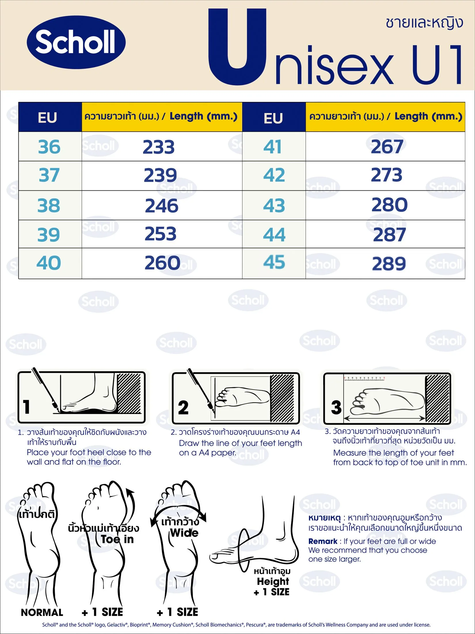 SCHOLL Solar Unisex's shoes Brown