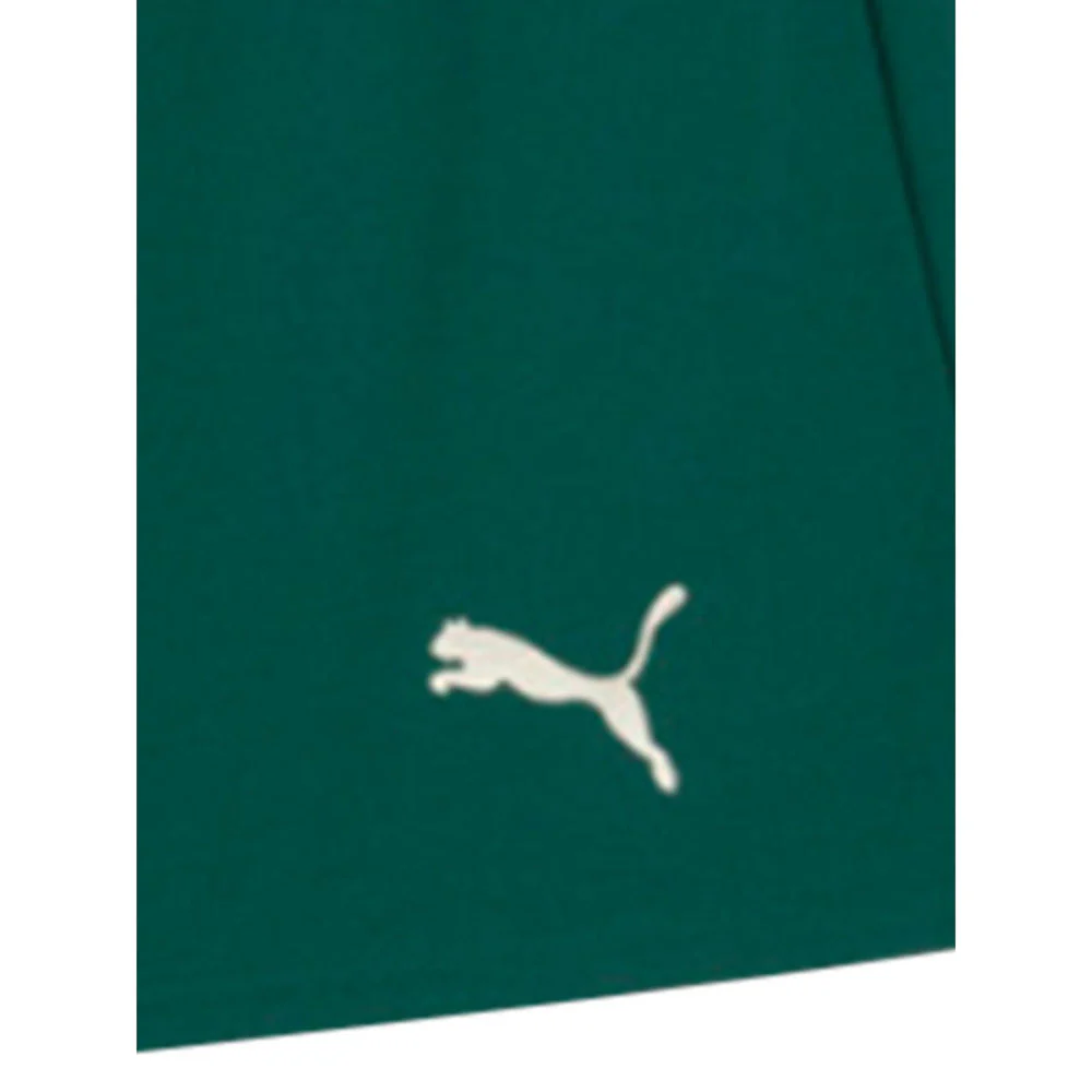 PUMA Men's Portugal Replica 2025 Football Shorts - Green - L (UK SIZE)