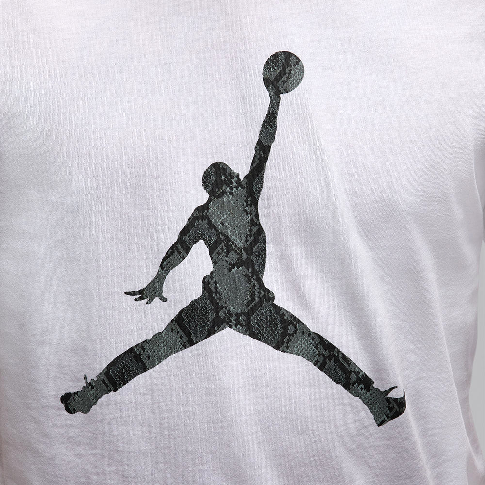 Мужская футболка Nike Jordan Sport Dri-FIT Basketball — цвет белый, размер L (американский размер)