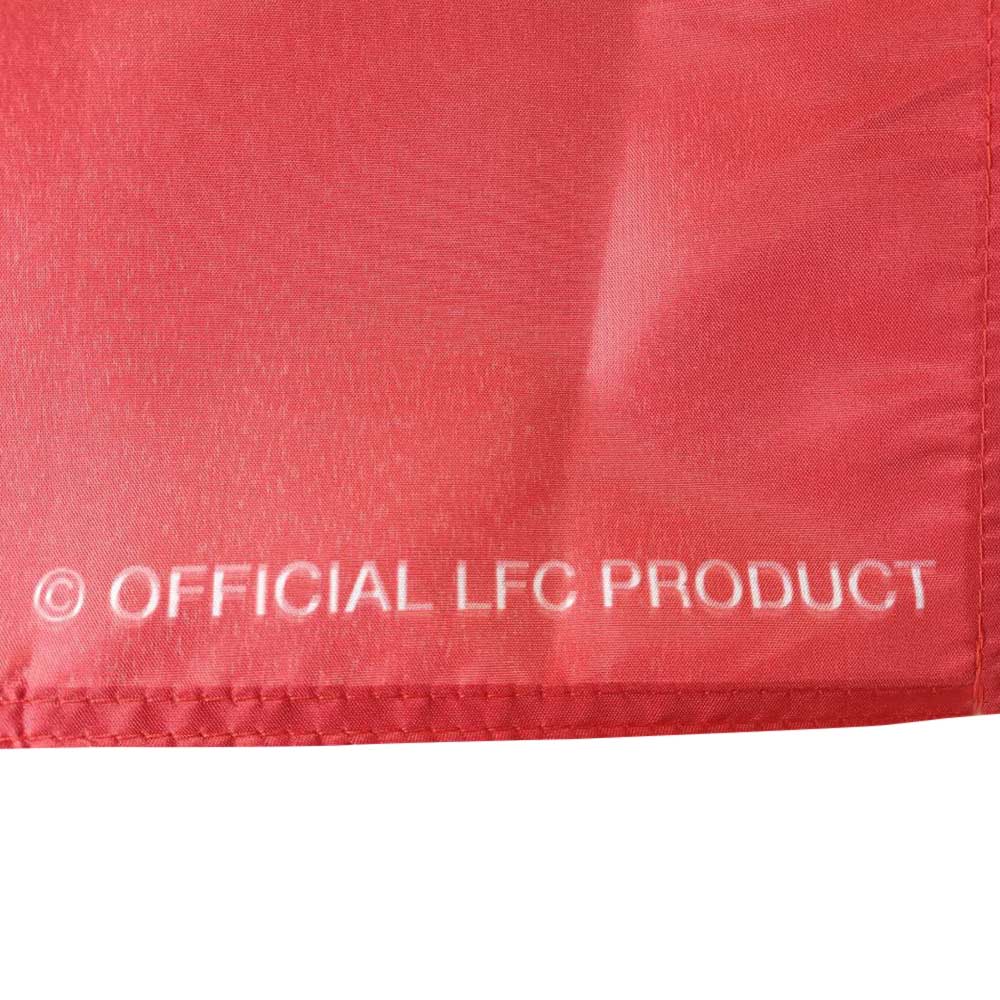 LFC EPL Champions 2024/25 Flag