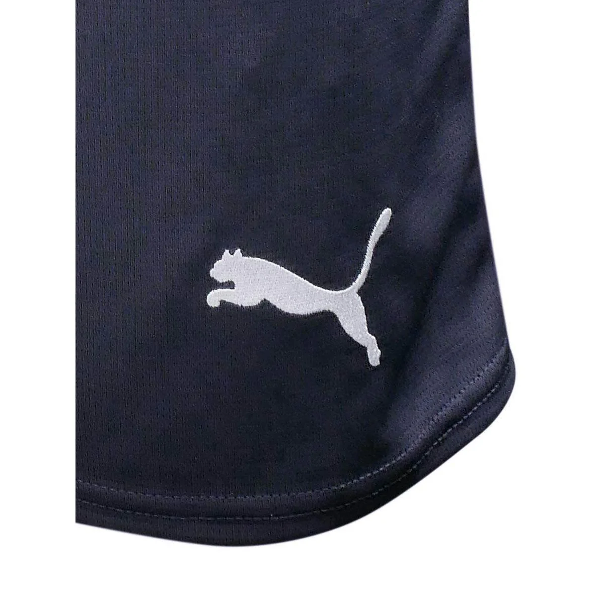 PUMA Men's Manchester City Replica 2024/25 Football Shorts - Blue - L (UK SIZE)