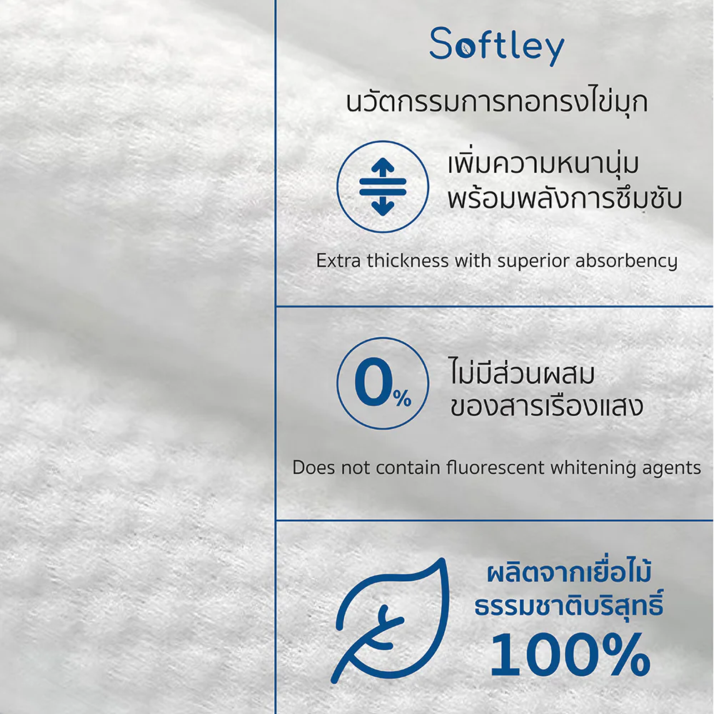 SOFTLEY Small Disposable Towel 1pc [30cm x 60cm]