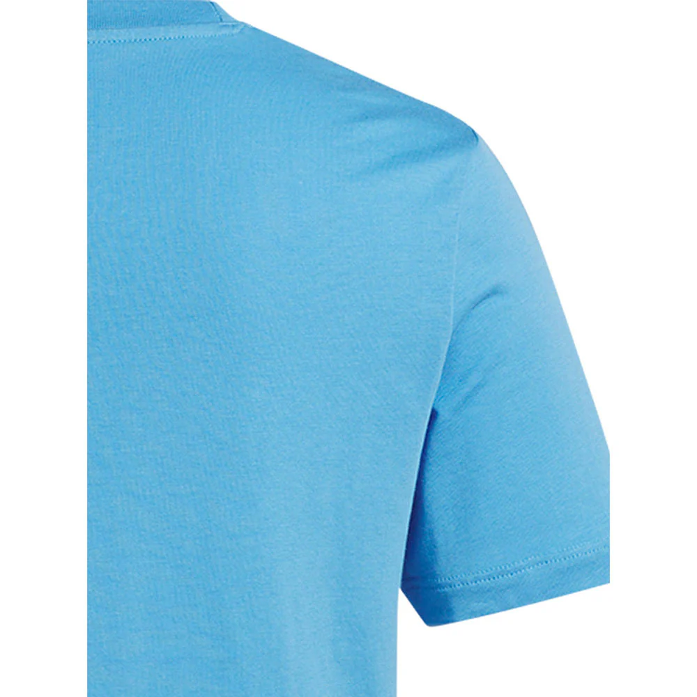 REEBOK Identity Crop Women's Training T-Shirt - Blue - L (US SIZE)