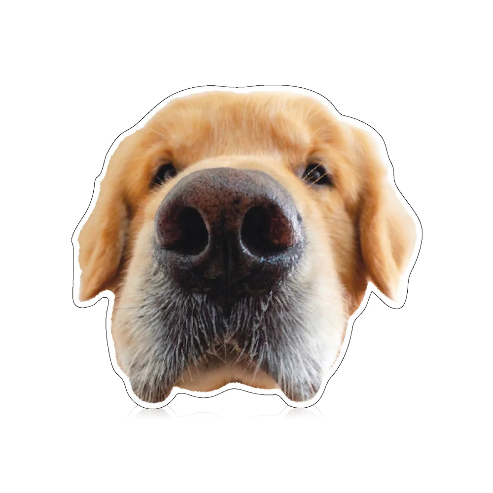 Joommeng Mee Arai Big Face Sticker — Jaidee, 1pc