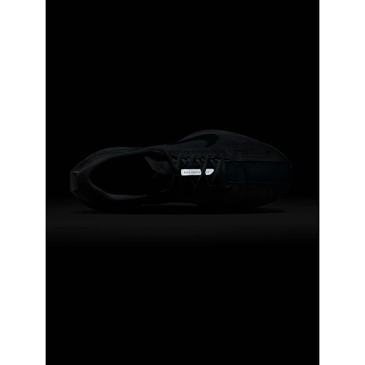 NIKE Pegasus Plus Men's Running Shoes