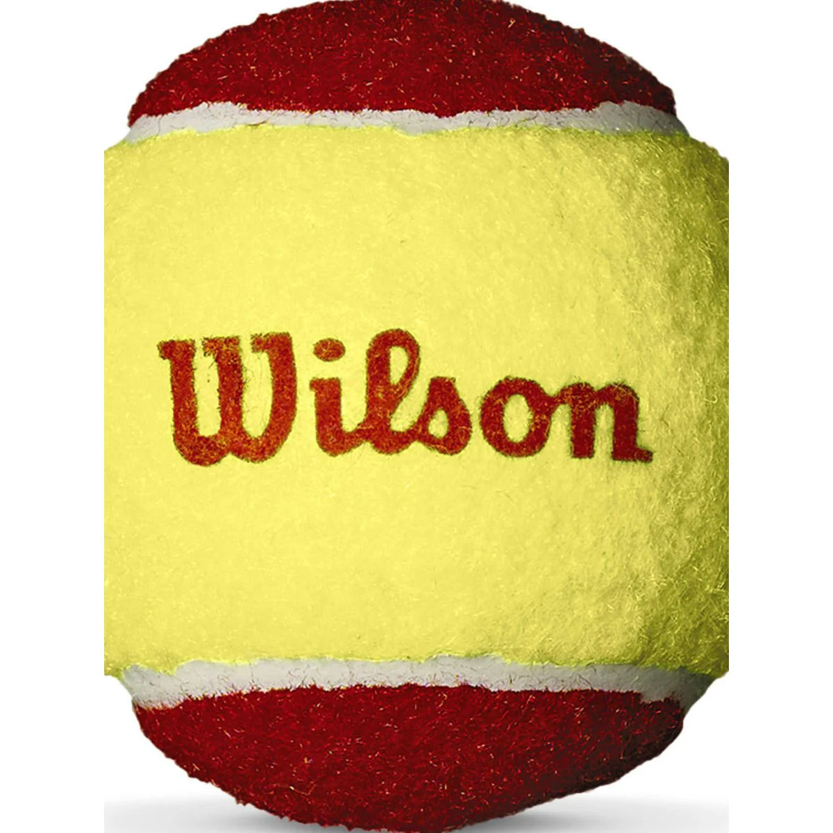 WILSON Starter Red Tennis Ball (12 Pack) - Red - ONE SIZE