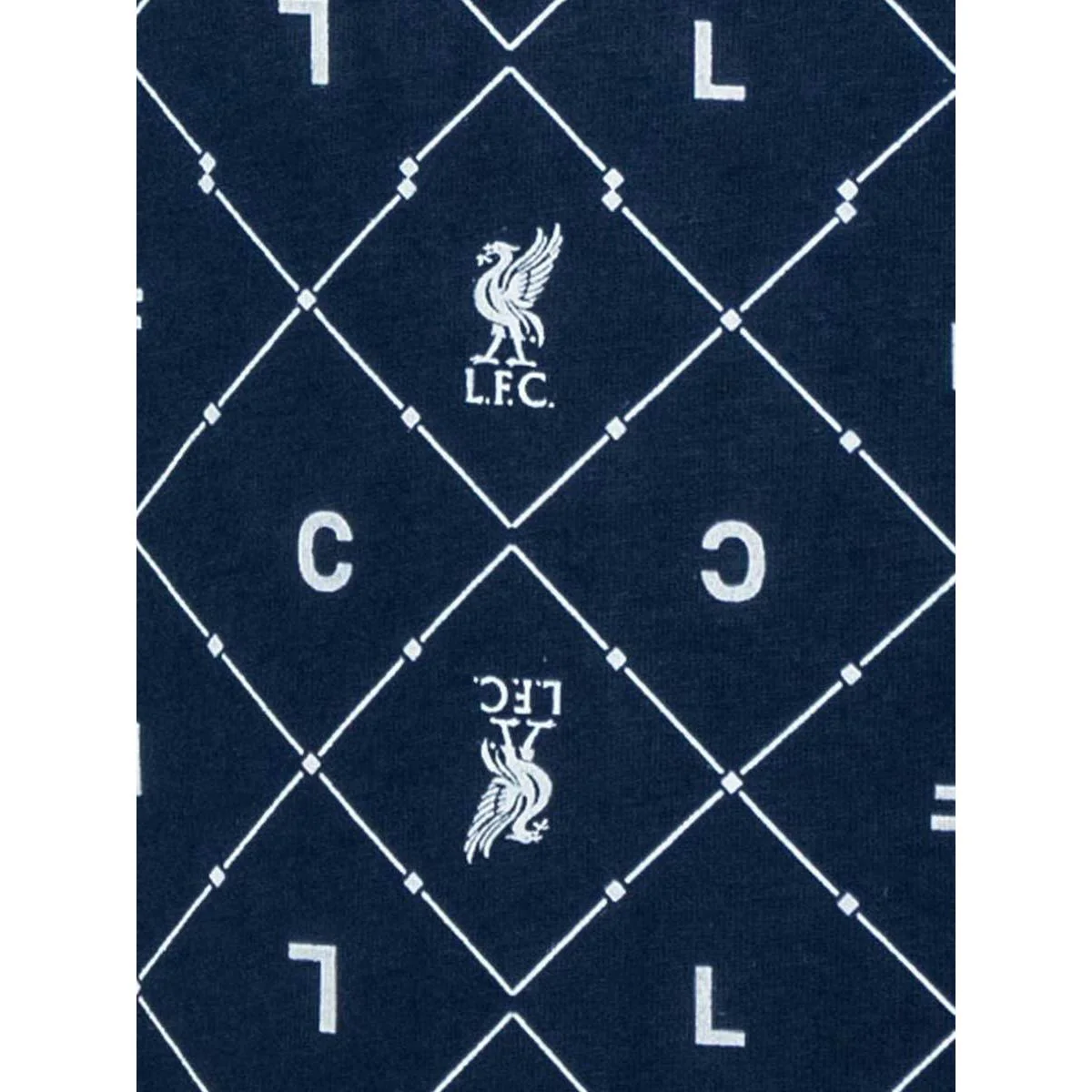 LFC Oversize Women's Dress - Blue - 2XL (US SIZE)