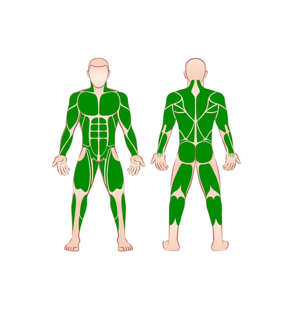 MicroBandX Medium - Orange - ONE SIZE