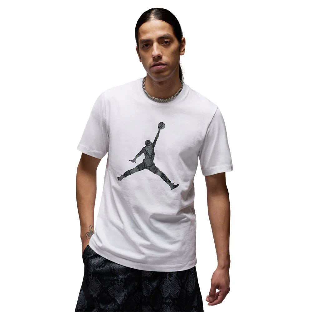 Мужская футболка Nike Jordan Sport Dri-FIT Basketball — цвет белый, размер L (американский размер)