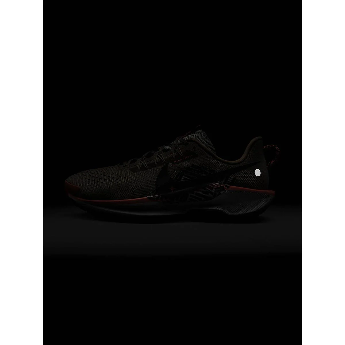 NIKE Pegasus Trail 5 Men's Trail Running Shoes - Multi Color - US 10