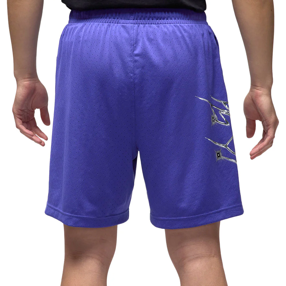 Мужские шорты Nike Dri-FIT Jordan Sport Basketball — цвет фиолетовый, размер L (американский размер)