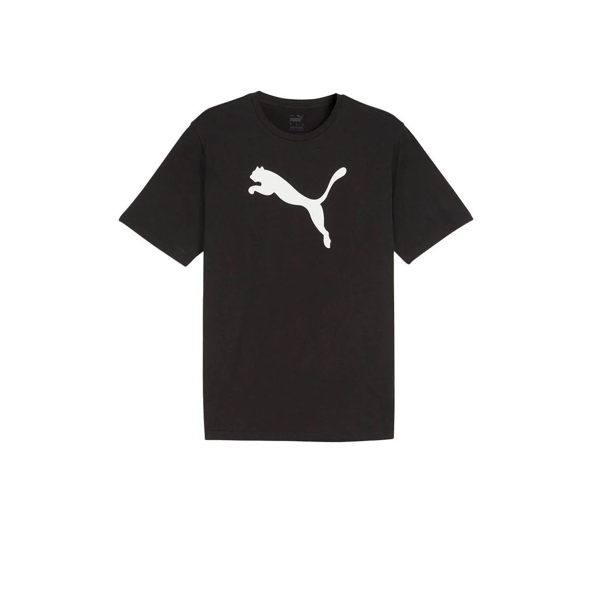 PUMA TeamRISE Logo Cotton Men's Football T-Shirt