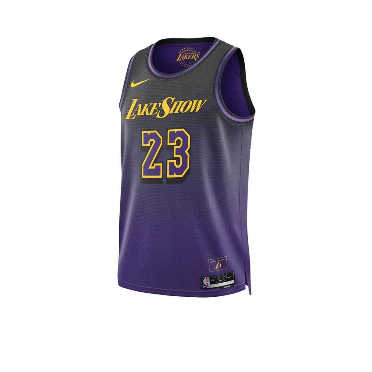 NIKE Men's Lebron James Los Angeles Lakers City Edition 2024/25 Basketball Jersey - Purple - 2XL (US SIZE)