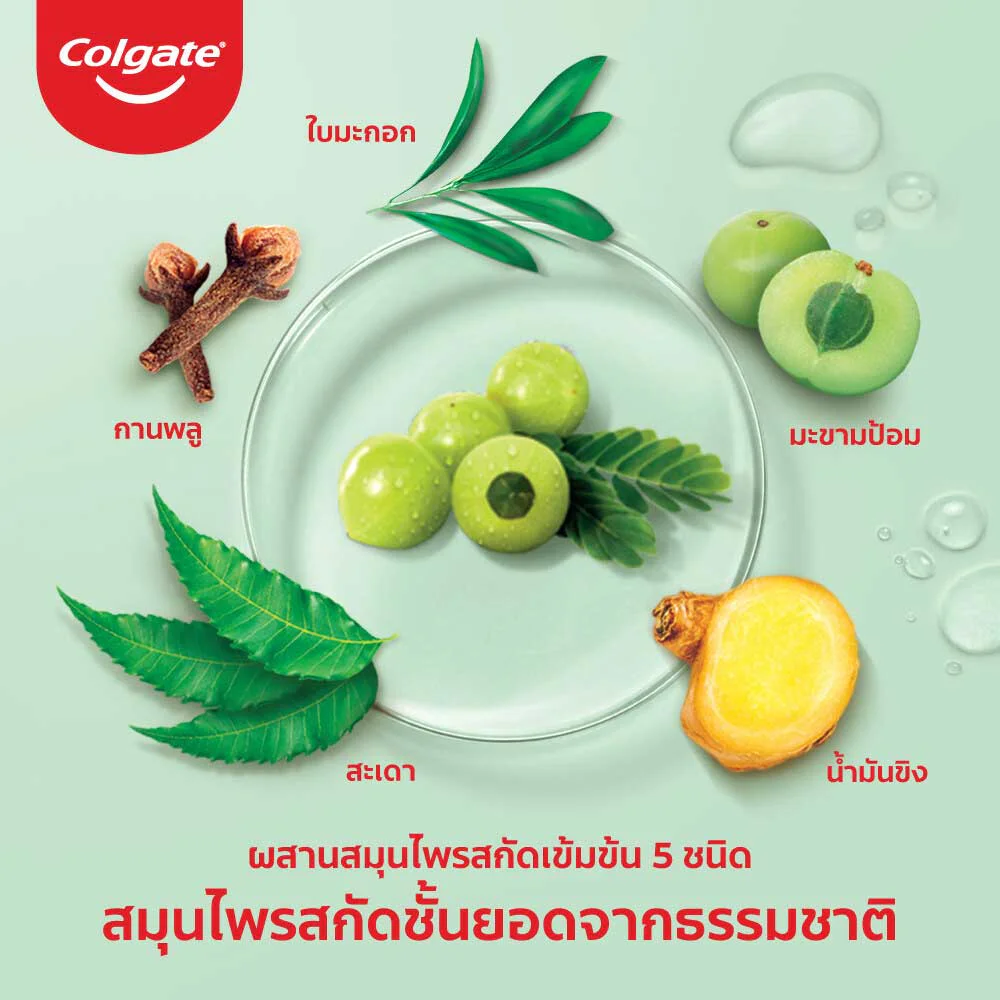 Зубная паста Colgate Panjaved Herbal Detox [120 г x 2 шт]