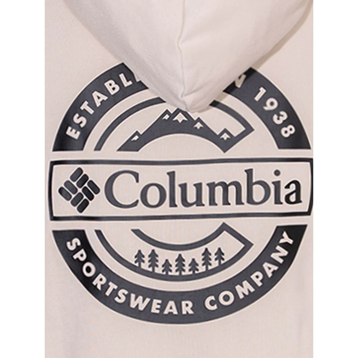 COLUMBIA Beaumont Graphic Men's Hoodie