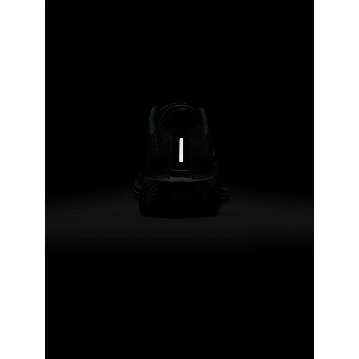 NIKE Pegasus Plus Men's Running Shoes