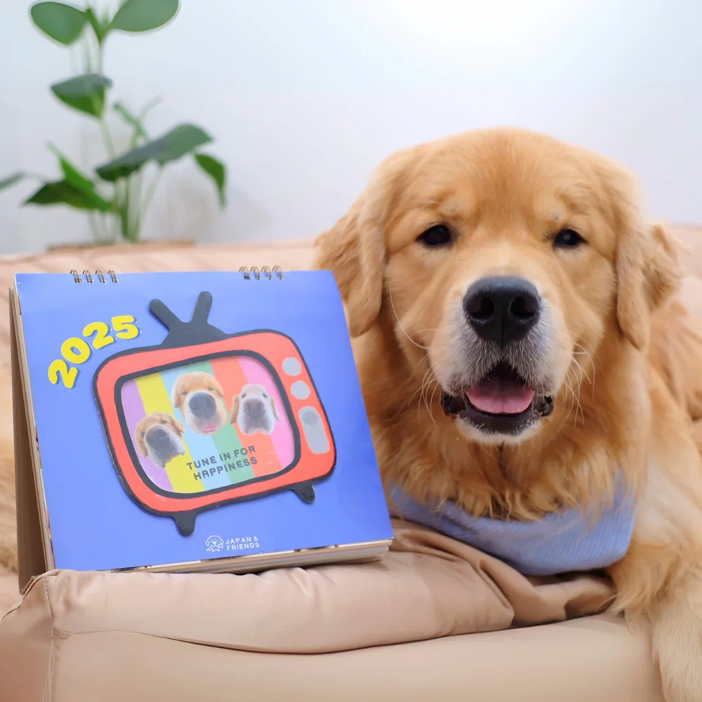 Joommeng Mee Arai 2025 Calendar Happiness Overload 1 шт