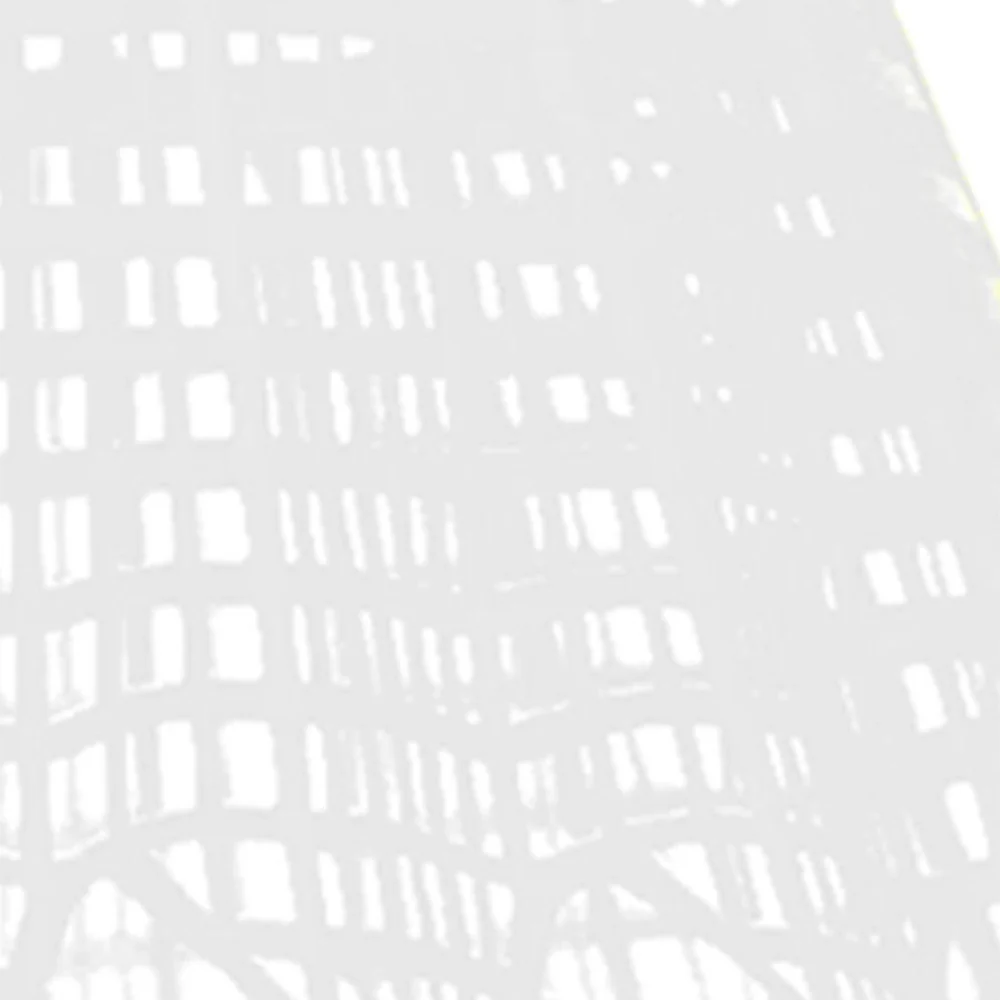 PRO TOUCH SP 200 Shuttlecock (6 Pieces) - White - ONE SIZE