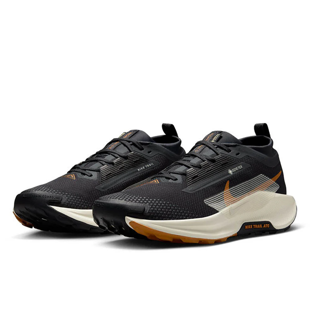 NIKE Pegasus Trail 5 GORE-TEX Men's Trail Running Shoes - Black - US 10